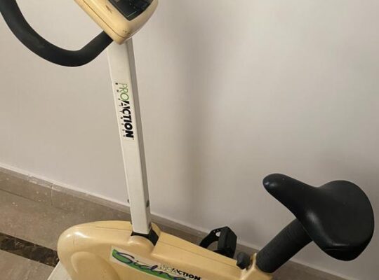 Bicycle BH Fitness German