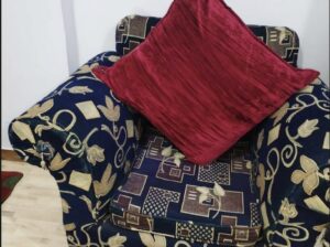 انتريه كامل للبيع بسعر مناسب محافظ عليه جداا