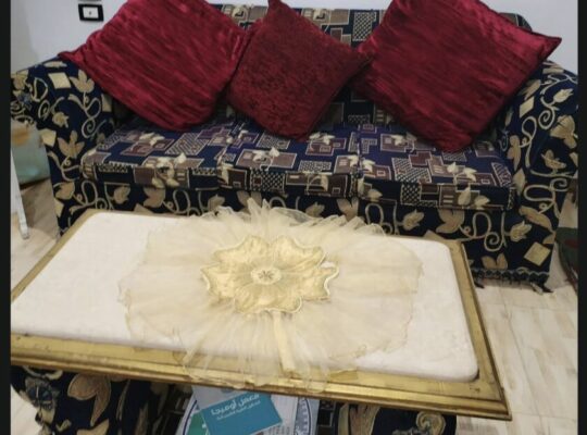 انتريه كامل للبيع بسعر مناسب محافظ عليه جداا